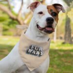 Fur Baby Pet Bandana - Colorful Dog Bandana - Word Art Pet Scarf - Image 4