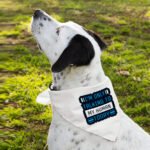 Only Talking to My Human Pet Bandana - Phrase Dog Bandana - Funny Pet Scarf - Image 6