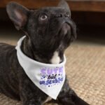 Cute but Unstable Pet Bandana - Funny Design Dog Bandana - Graphic Pet Scarf - Image 4