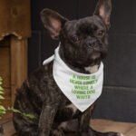 Dog Quote Pet Bandana - Cute Dog Bandana - Creative Pet Scarf - Image 3
