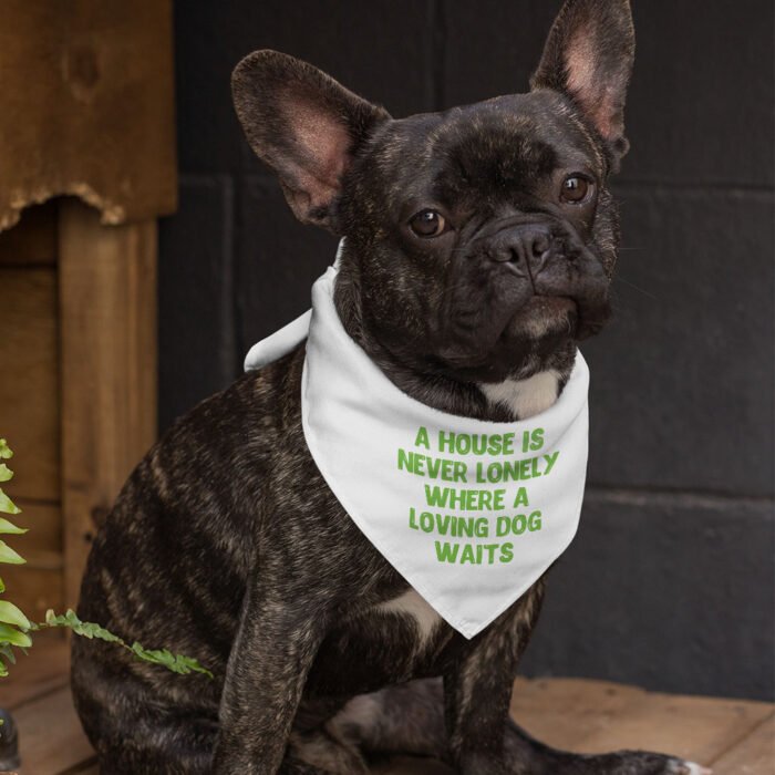 Dog Quote Pet Bandana - Cute Dog Bandana - Creative Pet Scarf - Image 3