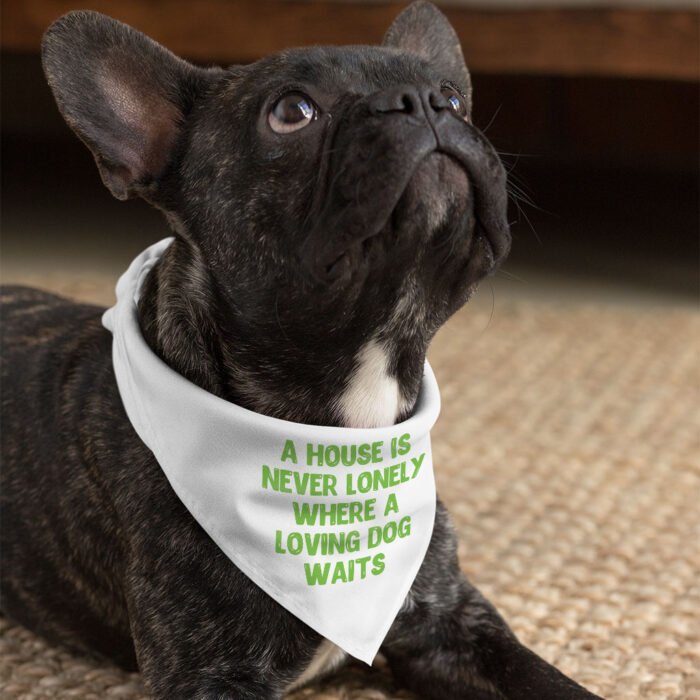 Dog Quote Pet Bandana - Cute Dog Bandana - Creative Pet Scarf - Image 4