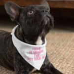 Cool Design Pet Bandana - Cute Print Dog Bandana - Cool Trendy Pet Scarf - Image 4