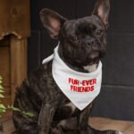 Cute Kawaii Pet Bandana - Trendy Dog Bandana - Printed Pet Scarf - Image 3