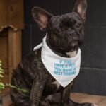 Cute Design Pet Bandana - Quote Dog Bandana - Best Print Pet Scarf - Image 3