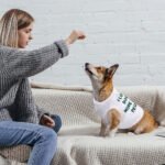 I Love Dogs Dog Tank - Printed Dog T-Shirt - Quotes Dog Clothing - Image 4