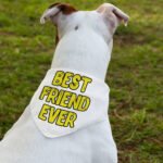 Best Friend Ever Pet Bandana Collar - Cute Design Scarf Collar - Best Print Dog Bandana - Image 3