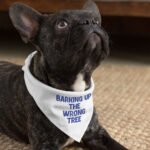 Funny Design Pet Bandana - Cool Quotes Dog Bandana - Graphic Pet Scarf - Image 4
