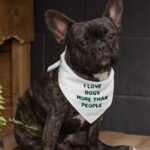 I Love Dogs Pet Bandana - Printed Dog Bandana - Quotes Pet Scarf - Image 3
