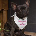 Best Keep Calm Pet Bandana - Trendy Dog Bandana - Cool Pet Scarf - Image 3