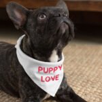 Puppy Love Pet Bandana - Kawaii Dog Bandana - Best Print Pet Scarf - Image 4