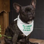 All I Need is Love and a Dog Pet Bandana - Cute Dog Bandana - Graphic Pet Scarf - Image 3