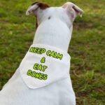 Keep Calm Pet Bandana Collar - Trendy Scarf Collar - Printed Dog Bandana - Image 3