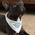 Dog Lover Pet Bandana - Themed Dog Bandana - Cute Pet Scarf - Image 4