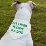 All I Need is Love and a Dog Pet Bandana Collar - Cute Scarf Collar - Graphic Dog Bandana - Image 3