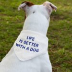 Life is Better With a Dog Pet Bandana Collar - Best Design Scarf Collar - Printed Dog Bandana - Image 3