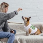 I'm Just Here for the Food Dog Tank - Funny Design Dog T-Shirt - Best Print Dog Clothing - Image 4