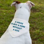 Dog Lover Pet Bandana Collar - Themed Scarf Collar - Cute Dog Bandana - Image 3