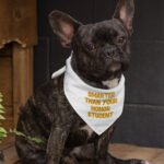 Sarcastic Pet Bandana - Funny Dog Bandana - Best Design Pet Scarf - Image 3