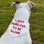 Cute Funny Pet Bandana Collar - Creative Scarf Collar - Printed Dog Bandana - Image 3