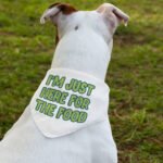 I'm Just Here for the Food Pet Bandana Collar - Funny Design Scarf Collar - Best Print Dog Bandana - Image 3