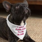 Cute Funny Pet Bandana - Creative Dog Bandana - Printed Pet Scarf - Image 4
