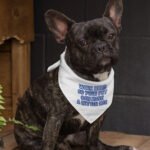 Work Hard Pet Bandana - Funny Design Dog Bandana - Best Design Pet Scarf - Image 3