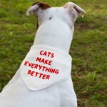 Cool Funny Pet Bandana Collar - Funny Cat Quote Scarf Collar - Cute Dog Bandana - Image 3