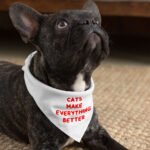 Cool Funny Pet Bandana - Funny Cat Quote Dog Bandana - Cute Pet Scarf - Image 4