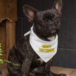 Listener Pet Bandana - Funny Dog Bandana - Cool Pet Scarf - Image 3