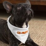 Co Pilot Pet Bandana - Best Print Dog Bandana - Cool Quote Pet Scarf - Image 4
