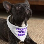 Cuddle Buddy Pet Bandana - Kawaii Dog Bandana - Cool Design Pet Scarf - Image 4