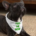 Feed Me Pet Bandana - Cool Dog Bandana - Best Design Pet Scarf - Image 4