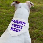 Cuddle Buddy Pet Bandana Collar - Kawaii Scarf Collar - Cool Design Dog Bandana - Image 3