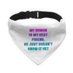 Cute Design Pet Bandana Collar - Creative Scarf Collar - Quote Dog Bandana - Image 2