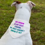 Cute Design Pet Bandana Collar - Creative Scarf Collar - Quote Dog Bandana - Image 3