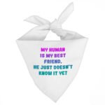 Cute Design Pet Bandana - Creative Dog Bandana - Quote Pet Scarf