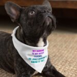 Cute Design Pet Bandana - Creative Dog Bandana - Quote Pet Scarf - Image 4