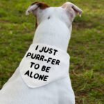 Cute Funny Pet Bandana Collar - Creative Scarf Collar - Printed Dog Bandana - Image 3