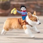 Cowboy Rider Dog Costume - Image 2