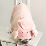 Pig Head Hoodie Jumpsuit for Dogs - Adorable Plush Costume for French Bulldogs, Teddy & More - Image 4