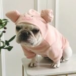 Pig Head Hoodie Jumpsuit for Dogs - Adorable Plush Costume for French Bulldogs, Teddy & More - Image 3