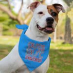 Cute but Psycho Pet Bandana - Beautiful Dog Bandana - Phrase Pet Scarf - Image 4