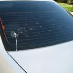Reflective Dandelion Wind Vinyl Car Decal - Image 3