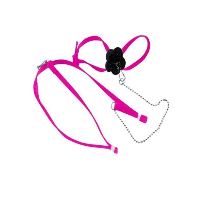Adjustable Reptile Harness with Leash - Soft Polyester Walking Strap for Lizards and Turtles - Image 1