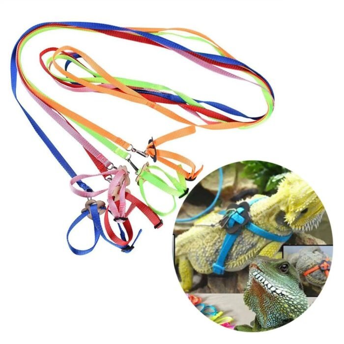 Adjustable Reptile Harness with Leash - Soft Polyester Walking Strap for Lizards and Turtles - Image 3