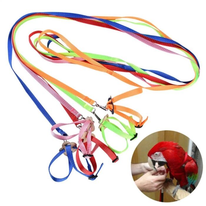 Adjustable Reptile Harness with Leash - Soft Polyester Walking Strap for Lizards and Turtles - Image 4