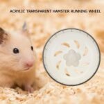 Transparent Acrylic Hamster Running Wheel - Image 5