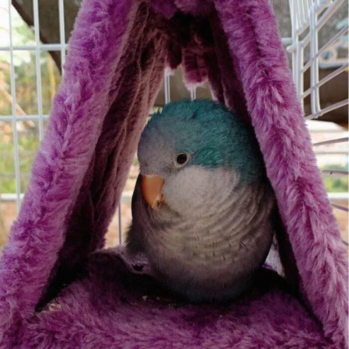 Cozy Plush Parrot Hammock - Soft Warm Bird Nest - Image 3