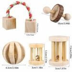 Natural Wooden Molar & Play Toys for Small Pets - 2 Piece Set - Image 5